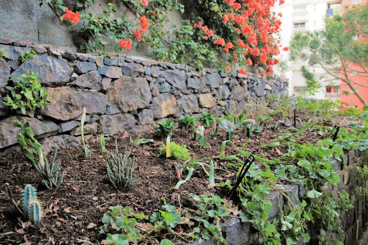 Charming Bungalow In Funchal, Sea View 0*, Funchal (Madeira) Portugal